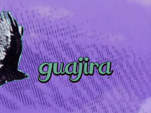 Guajira
