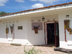 Museo Pictórico Luis José Pisano