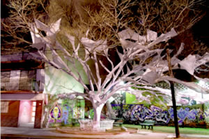 Muestra colectiva: ''A raíz del árbol''