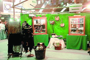 Exponen los artesanos bonaerenses 
