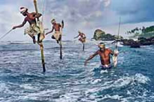 Fotografías de Steve McCurry