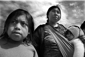 Gustavo Torres: Tierra adentro