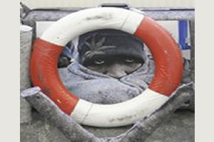 Lost & Found, Instalación