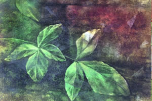 Lola Moreno: Madre Naturaleza