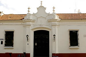 Taller de verano ''Bajo los árboles''