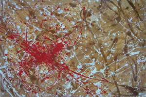 Exposición de la artista plástica Valeria Nerpiti