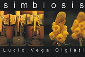 Simbiosis