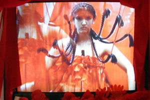 La Pantalla Pintada 