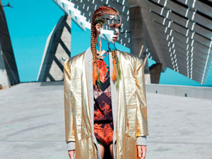 El fin de la conceptualización (1ª parte)