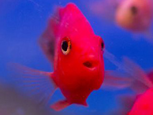 La definición del arte