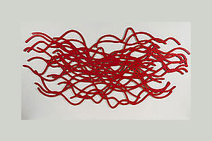 De Volder: la consigna, huir de cualquier cliché 