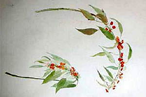 Salta abre una muestra con una de las donaciones de obras de arte más grandes del país