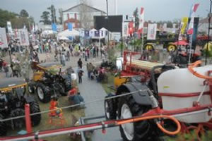 Mucho público en la Expo 2010