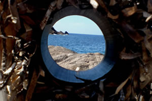 El grupo Tricoteras en el Terre Crue