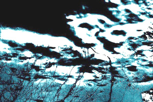 Un artista argentino propone hacer arte a partir de imágenes satelitales.