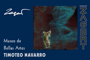Muestra artística de Rodolfo Zagert