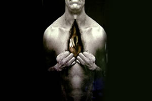 Las manos, mis herramientas de vida