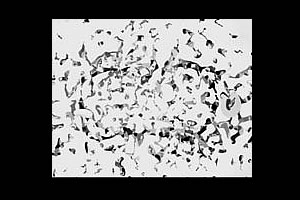 Arte contemporáneo, pensado y hecho en el Nordeste argentino