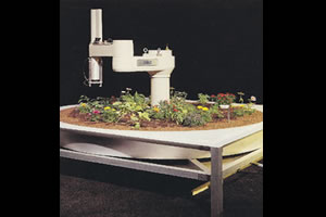 En Alemania celebrarán a los pioneros del arte cibernético 