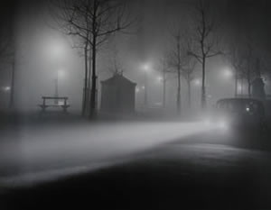 Avenue del observatoire, de  Brassai