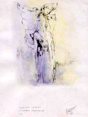 Dama Negra, de Alejandra Paula Coirini