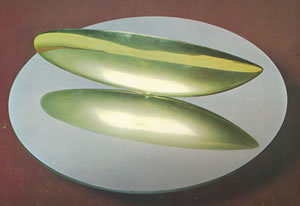 El pez, de Constantin  Brancusi