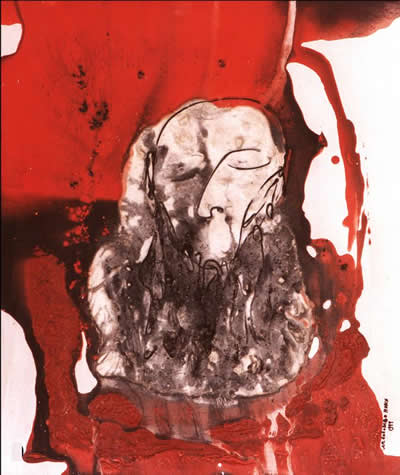 El diablo sabe por diablo, de Jorge Colombo