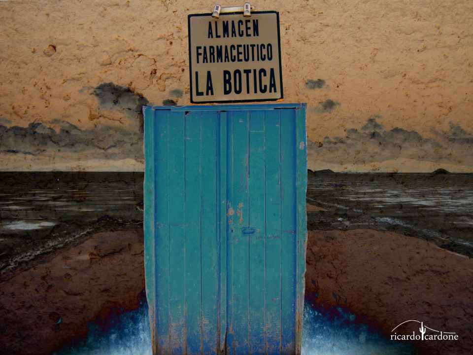 La botica, de Ricardo Cardone