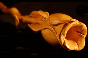 Rosa tallada a mano, de Martín Darío Lopizzo