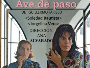 Ave de paso