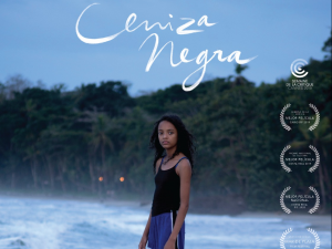 Ceniza Negra