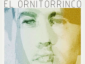 El ornitorrinco