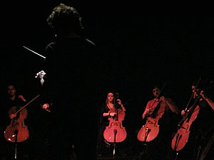 Intervenciones sobre films de Narcisa Hirsch