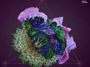 Flor del Valle