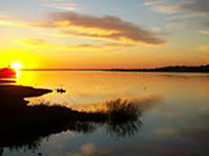 Paraná, biografía de un río. Humedales: tierra de agua