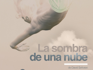 La sombra de una nube