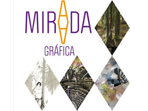 Mirada Gráfica