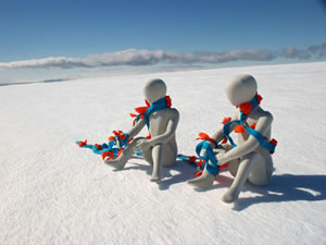 XIV Muestra Proyecto Sur Polar