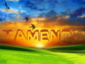 Yamentú: Reggae